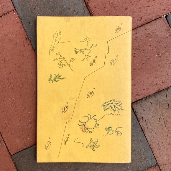 1971 Marginal Way Guide To Natural History Of Seacoast Area Maine New England - Picture 12 of 12